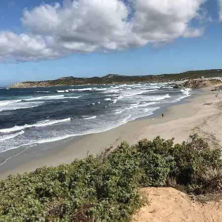 Tra Rocce Pini E Mare